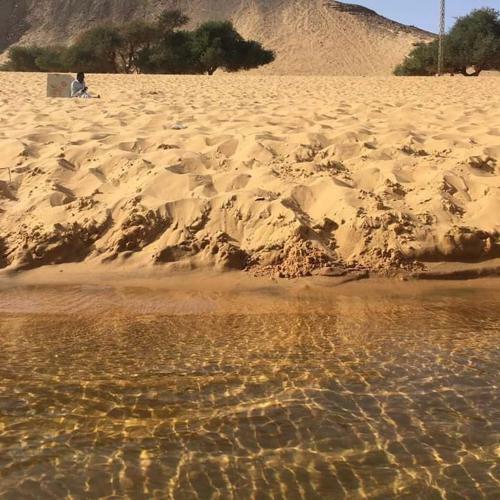 Nubia History Feloca