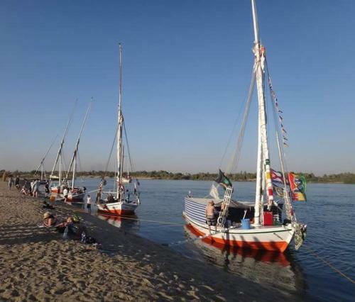 Nubia History Feloca