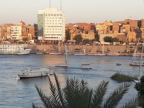 Nubia Castle