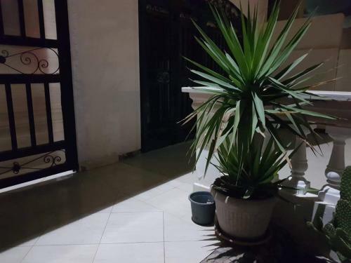 Diverhouse Apartment