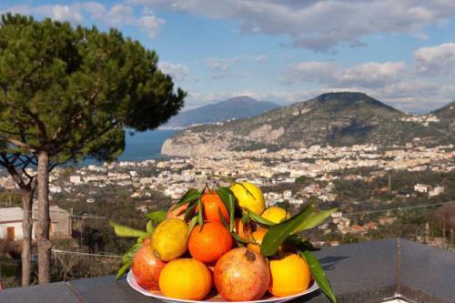Apartamento Appartamento Villa Degli Ulivi