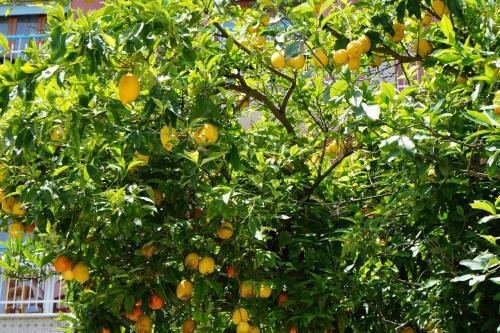 Bed & Breakfast Villa Susy Relais