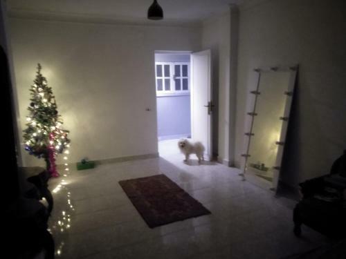 Albergue Rush Duplex