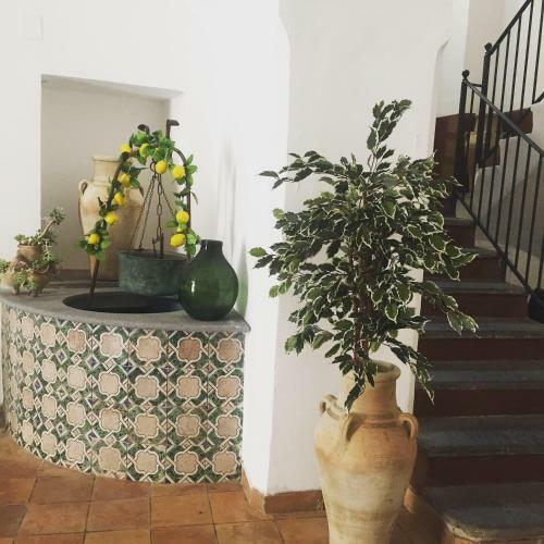 Bed & Breakfast Sorrento Penthouse Suites
