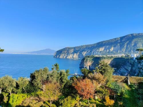 Apartamento Villa Preziosa-rubino