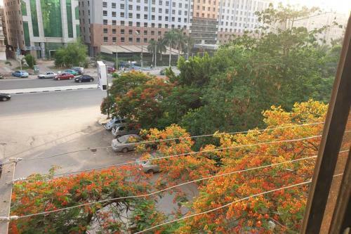 3 Bed Room Apartment Z1