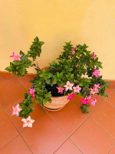 Bed & Breakfast Casa La Roccia