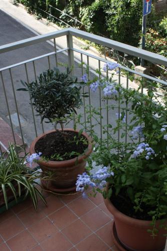 Apartamento Appartamento S. Margherita L.