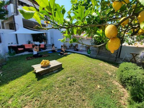 Apartamento Marinelle