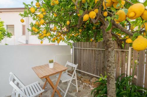 Apartamento Marinelle
