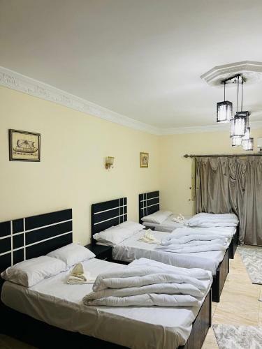 Albergue Anubis Pyramids Inn