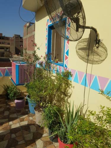 Bed & Breakfast Jana Pyramids View Inn