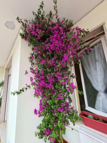 Apartamento Casa Dell Amore 2