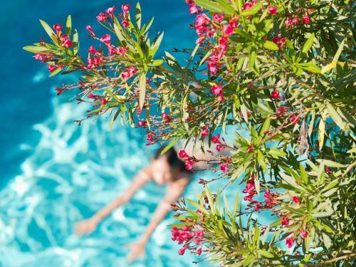 Aparthotel Le Val Duchesse Hotel & Appartements