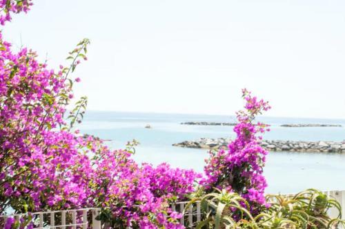 Apartamento Iris Centralissimo