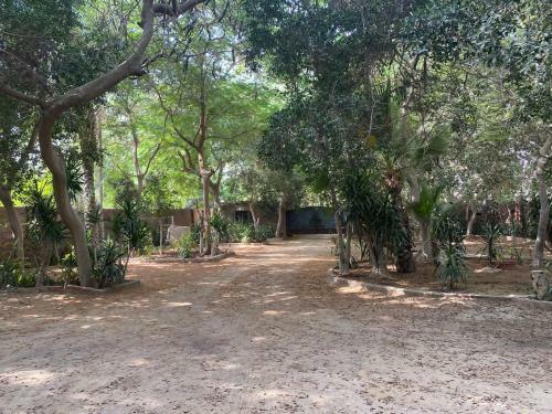 Villa By The Pyramids