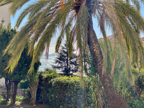 Apartamento Bilocale Vista Mare