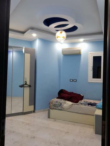 Luxury Apartment