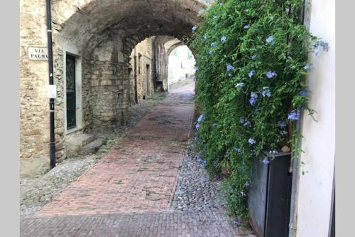 Apartamento New Flat Barbanera- Monolocale Centrale E Comodo