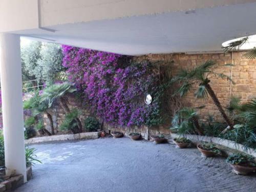 Apartamento Sanremo Sole Surf E Relax Casa Sul Mare