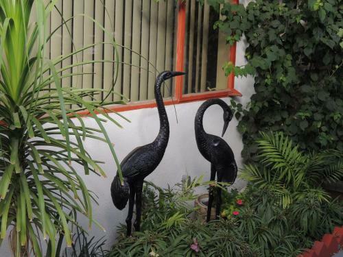 Bed & Breakfast Casa Larrea Inn
