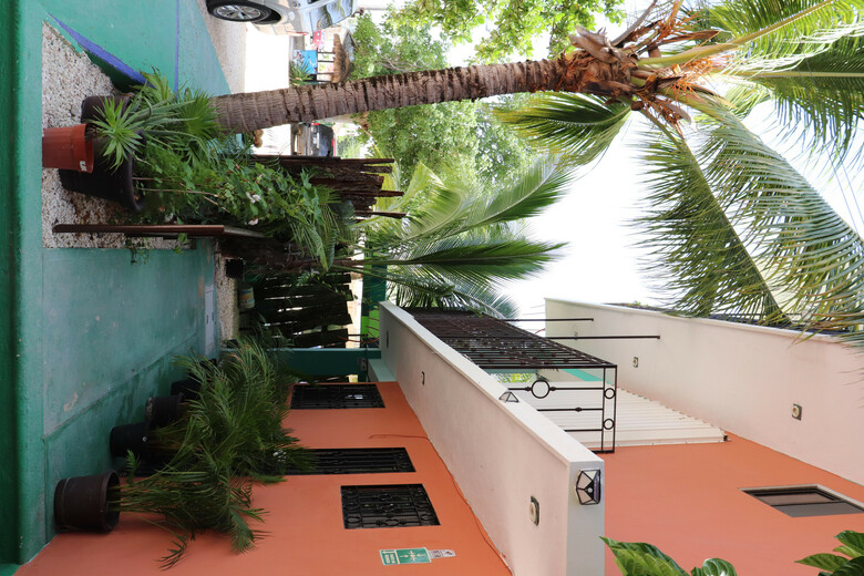 Hotel Andrea�s Tulum