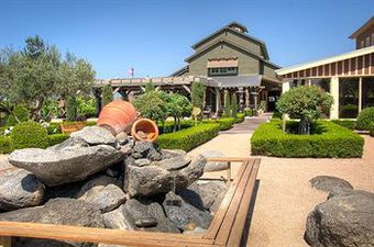 Motel Ponte Vineyard Inn