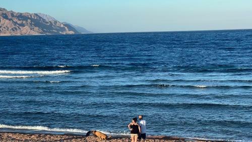 Apartamento Cozybeach, Private Seafront Studios