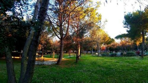 Home Sweet Home