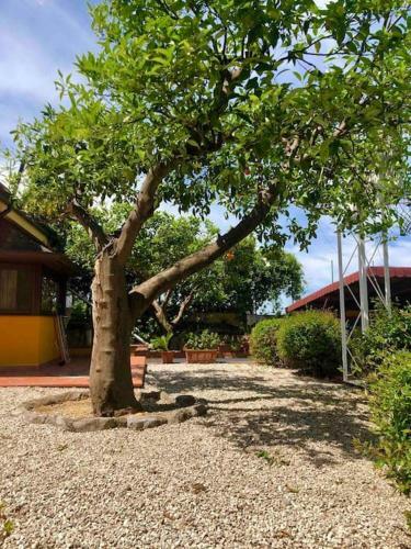 Villa Garden House