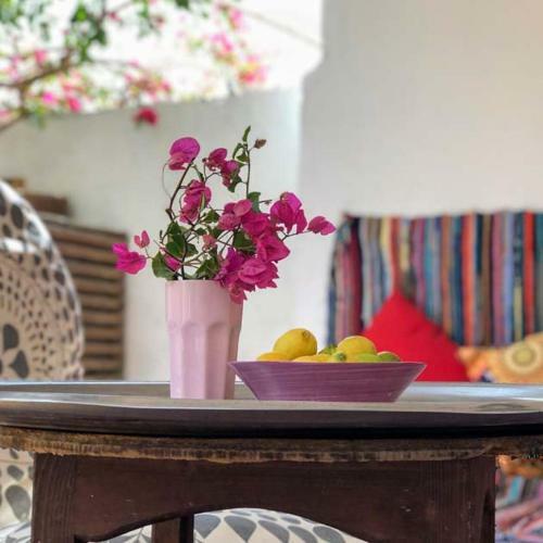 Hibiscus Dahab House
