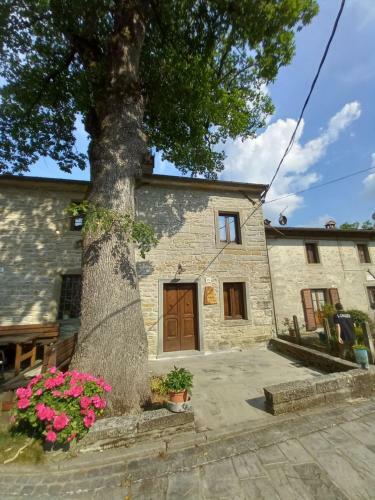 Apartamento Casina La Quercia