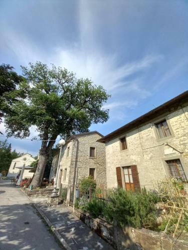 Apartamento Casina La Quercia