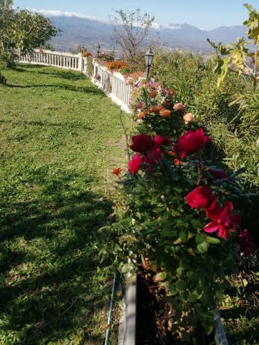 Agroturismo Agriturismo Vemi
