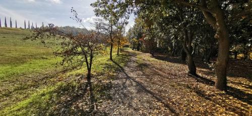 Apartamento Suite Dream - Santarcangelo Di Romagna - 500m Dal Centro Citt� E Centro Storico