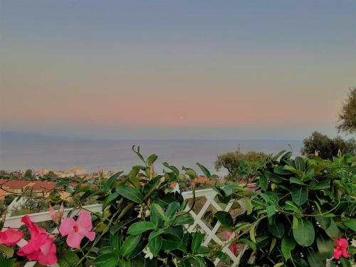 Hostal Villa Infinity ?