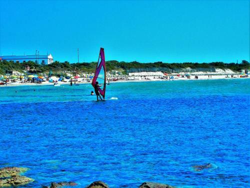Pineta Spiaggia Grande 2
