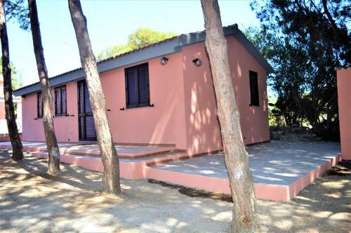 Pineta Spiaggia Grande 2