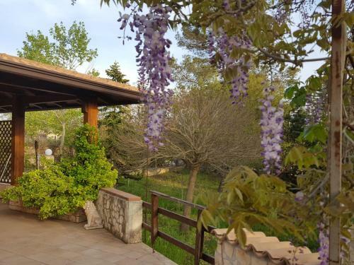 B&B Villa In Campagna Immersa Nel Verde