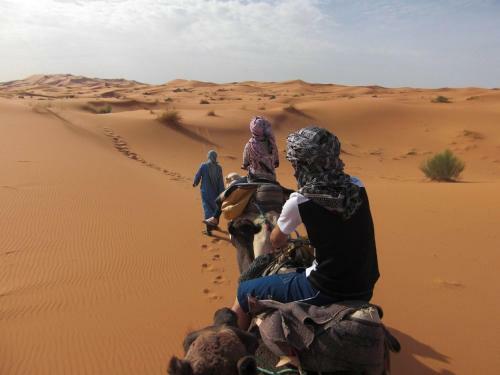 Desert Camel Trekking Camp