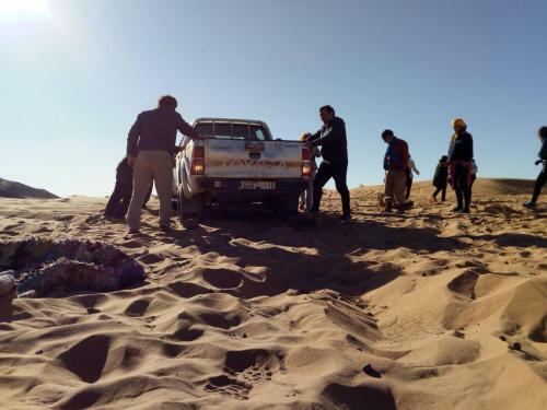 Camel Trekkings