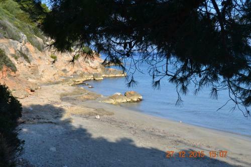 Apartamento Appartamenti Al Mare