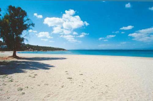 Apartamento Appartamenti Al Mare
