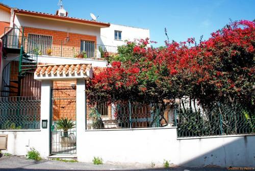Palma E Boungaville