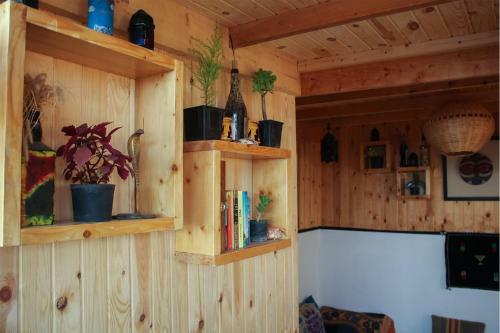 Afer Surf Hostel