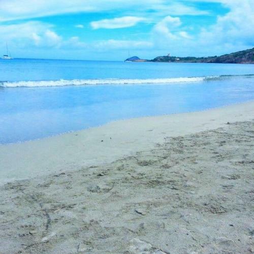 Ci� Evelina
