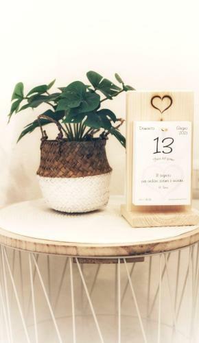 Apartamento La Conchiglia