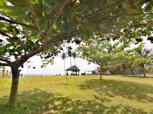 Hotel Afro Beach Butre