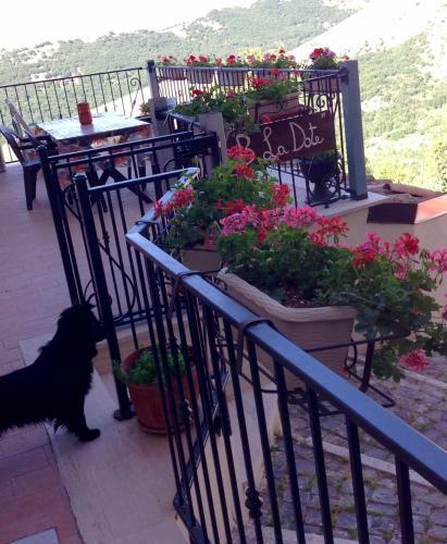 B&B La Dote