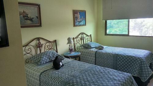 Apartamento Para Alquiler En Playa Blanca